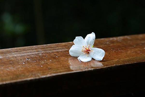 1436168465859 1436168465859