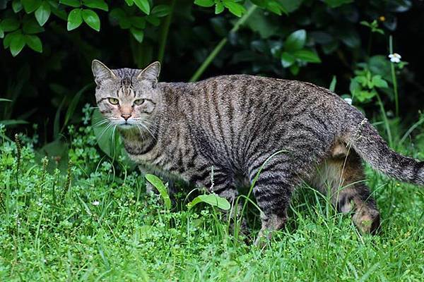 1436168457667 1436168457667