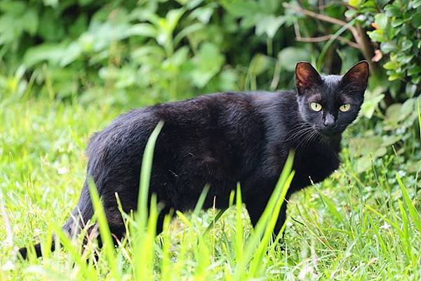 1436168454803 1436168454803