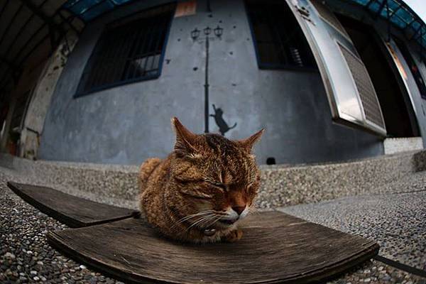 1436168460542 1436168460542