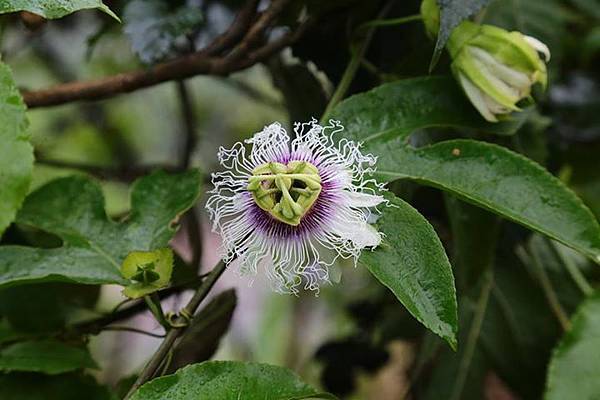 1436168470572 1436168470572