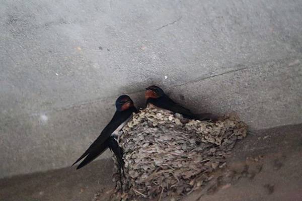 1436168473951 1436168473951