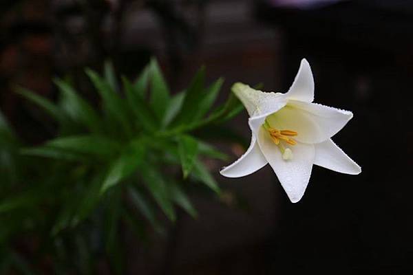 1436168474461 1436168474461