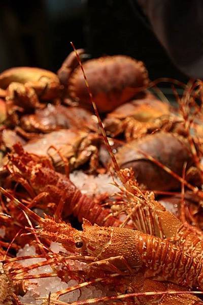 1436168328337 1436168328337