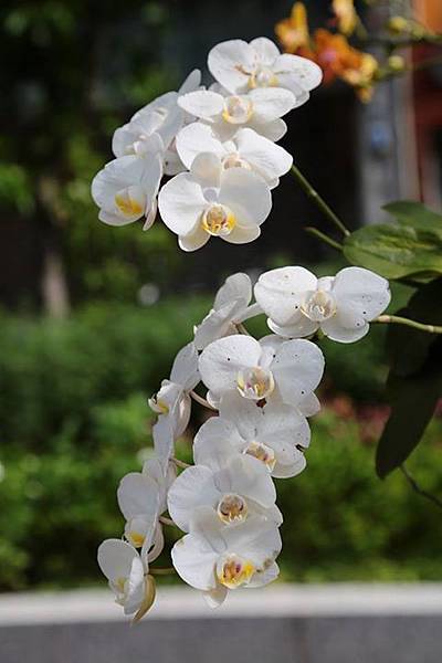 1436168322293 1436168322293