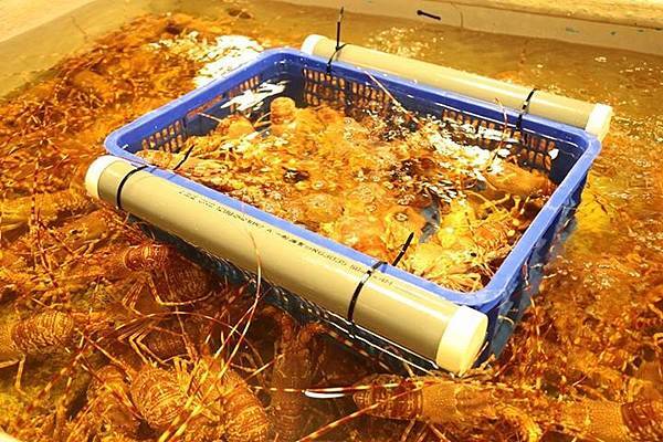 1436168324038 1436168324038