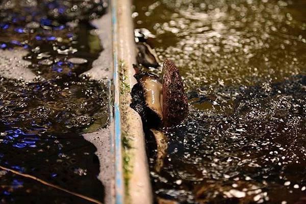 1436168325566 1436168325566