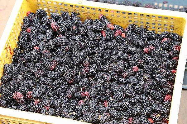 1436168357006 1436168357006