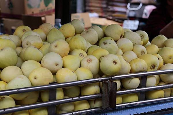 1436168356392 1436168356392