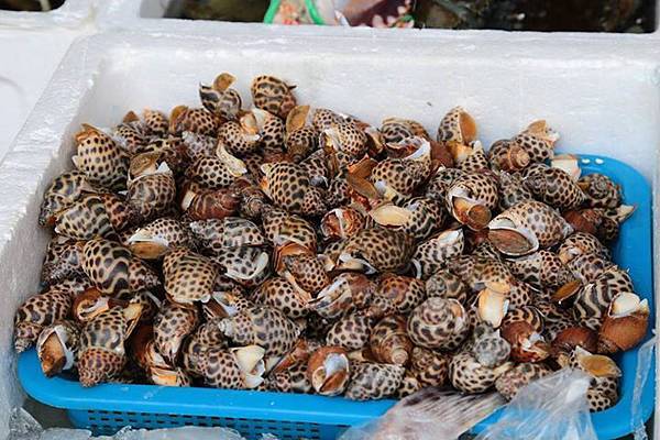 1436168358750 1436168358750