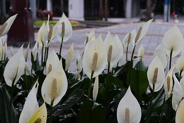 1436168371139 1436168371139