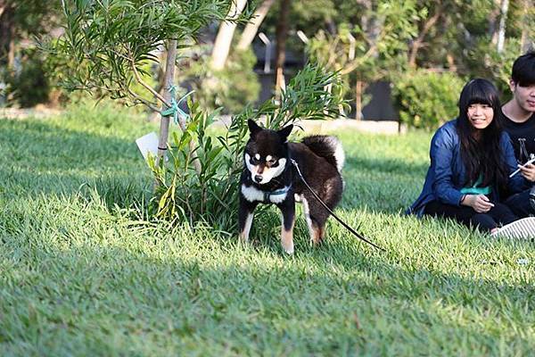 1436168702820 1436168702820