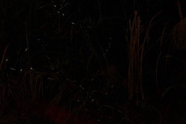 1436168719816 1436168719816