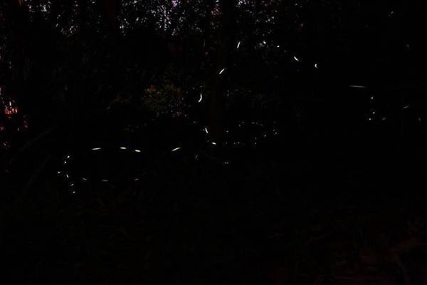 1436168721897 1436168721897