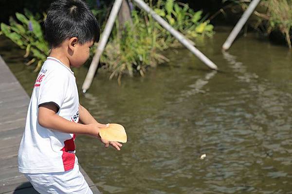 10153008695116845 10153008695116845