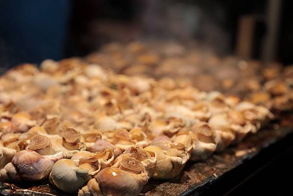 Day 03_393.JPG Day 03_393.JPG