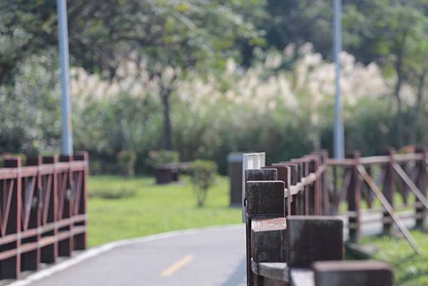 Day 04_120.JPG Day 04_120.JPG