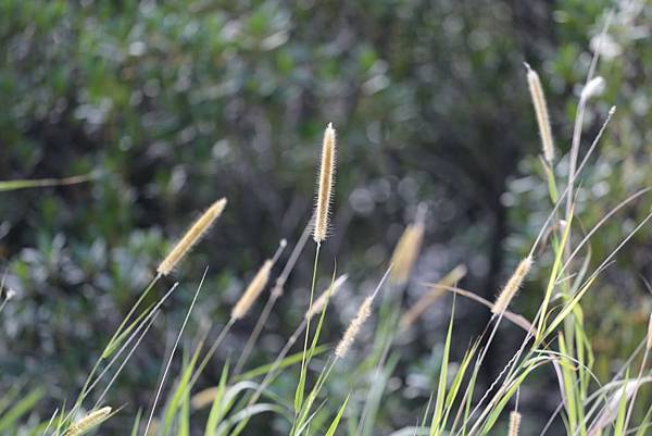 Day 04_123.JPG Day 04_123.JPG