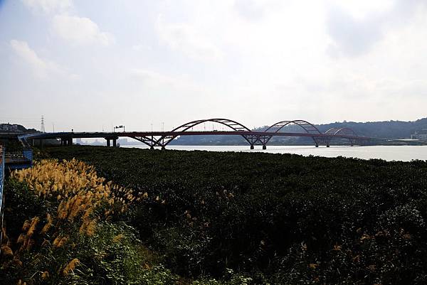 Day 04_135.JPG Day 04_135.JPG