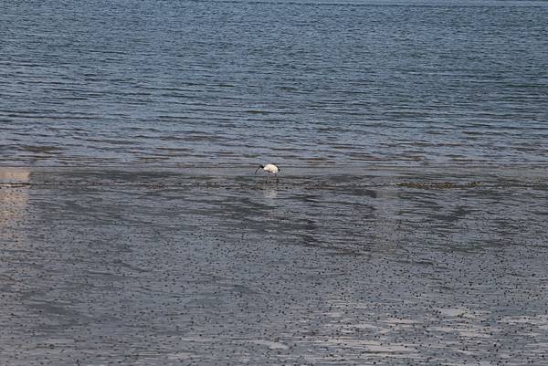 Day 04_196.JPG Day 04_196.JPG