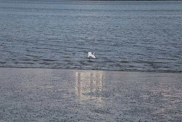 Day 04_201.JPG Day 04_201.JPG