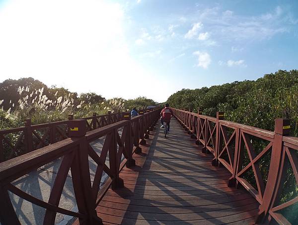 Day 04_271.JPG Day 04_271.JPG