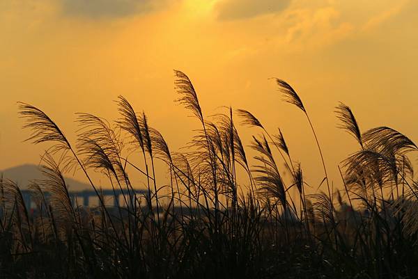 Day 04_411.JPG Day 04_411.JPG