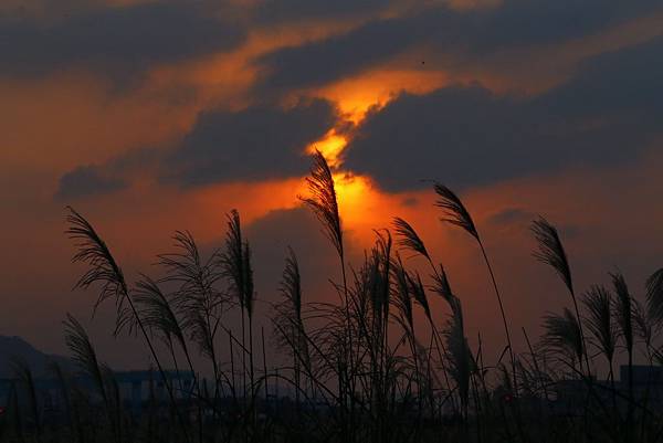 Day 04_464.JPG Day 04_464.JPG