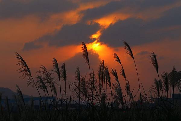 Day 04_466.JPG Day 04_466.JPG