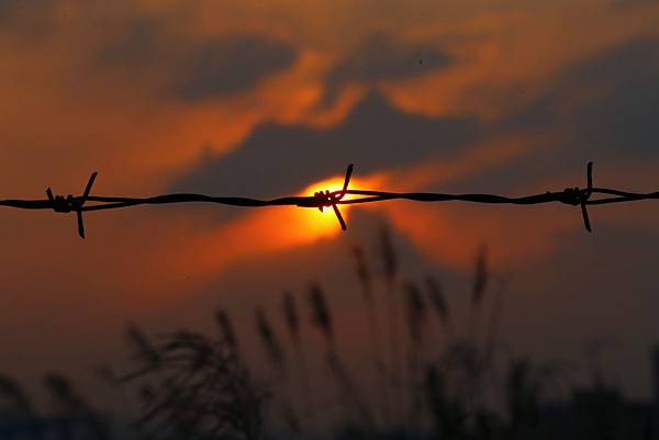 Day 04_470.JPG Day 04_470.JPG