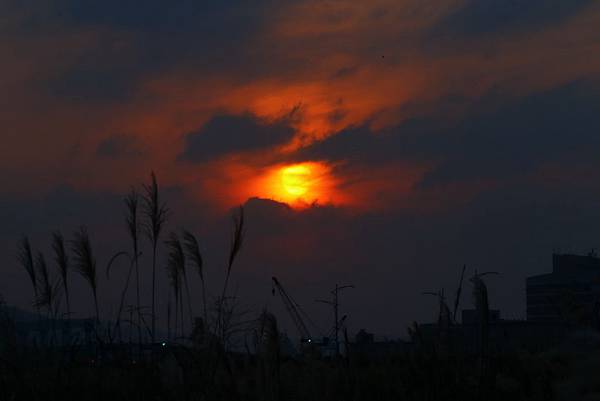 Day 04_484.JPG Day 04_484.JPG