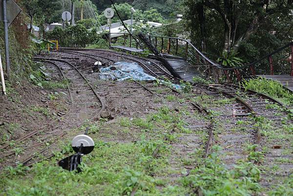 Day 06_037.JPG Day 06_037.JPG