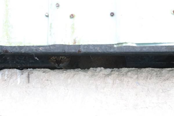 Day 06_048.JPG Day 06_048.JPG