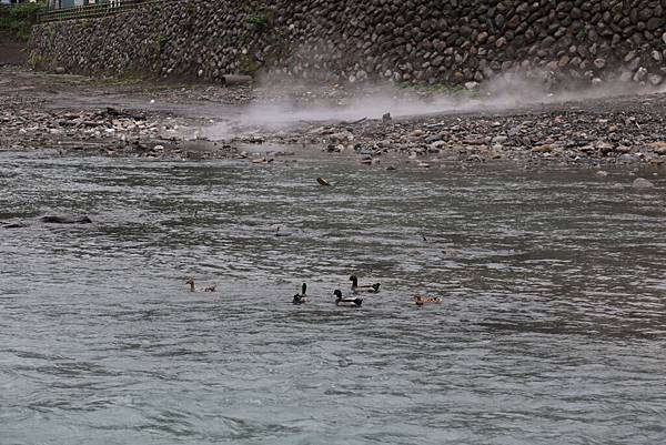 Day 06_241.JPG Day 06_241.JPG