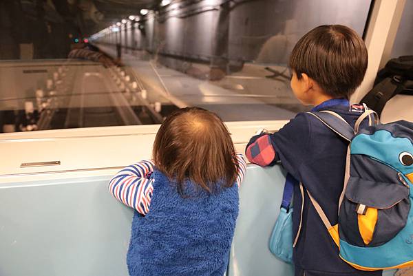 20160319075442_IMG_1455.JPG 20160319075442_IMG_1455.JPG