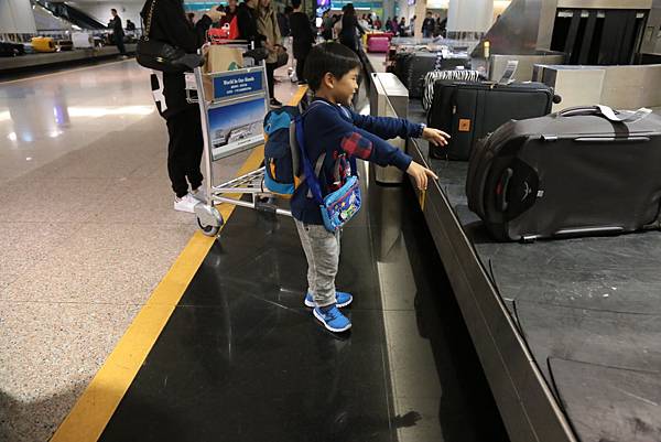 20160319113434_IMG_1536.JPG 20160319113434_IMG_1536.JPG