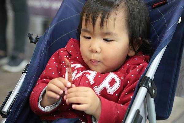 20160319191009_IMG_1634.JPG 20160319191009_IMG_1634.JPG