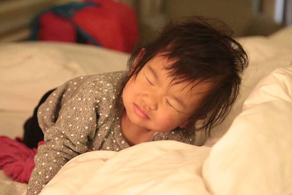 20160320080311_IMG_1642.JPG 20160320080311_IMG_1642.JPG