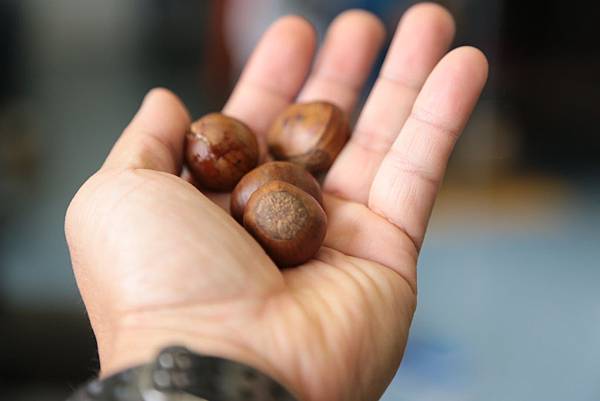 20160320114314_IMG_1733.JPG 20160320114314_IMG_1733.JPG