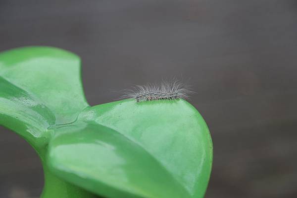 20160320143936_IMG_1841.JPG 20160320143936_IMG_1841.JPG