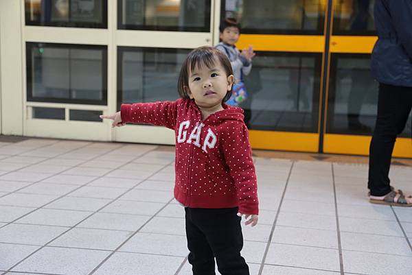 20160320200251_IMG_2012.JPG 20160320200251_IMG_2012.JPG