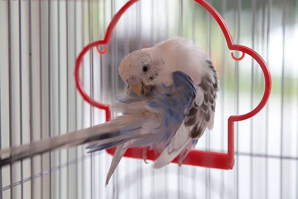 20160321144548_IMG_2282.JPG 20160321144548_IMG_2282.JPG