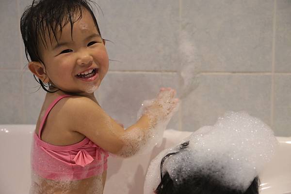 20160321173600_IMG_3071.JPG 20160321173600_IMG_3071.JPG