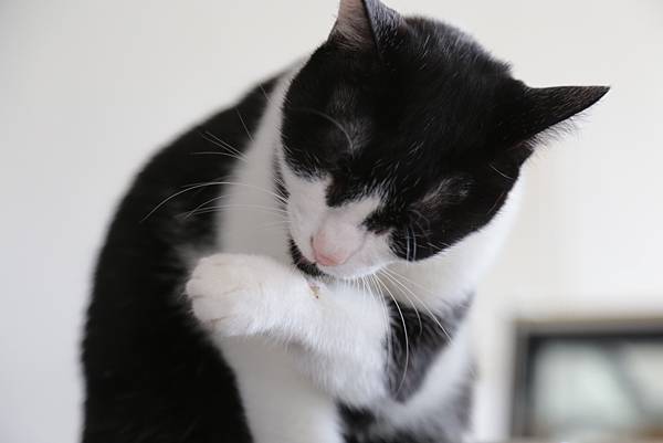 20160322113726_IMG_3612.JPG 20160322113726_IMG_3612.JPG