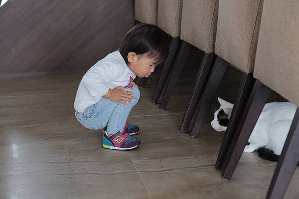 20160322113642_IMG_3599.JPG 20160322113642_IMG_3599.JPG