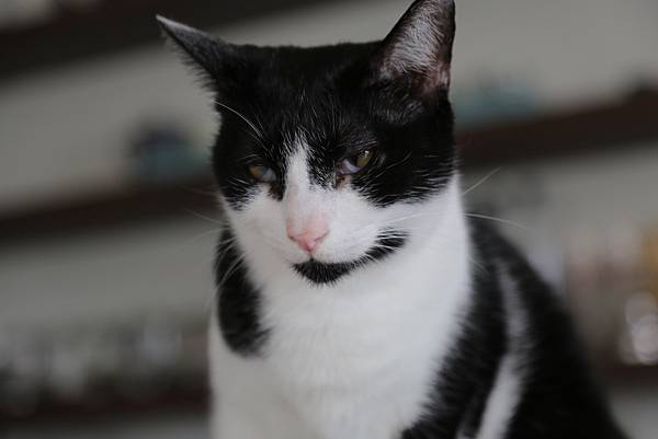 20160322113749_IMG_3621.JPG 20160322113749_IMG_3621.JPG