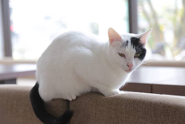 20160322113954_IMG_3634.JPG 20160322113954_IMG_3634.JPG