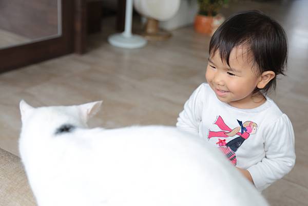 20160322114022_IMG_3637.JPG 20160322114022_IMG_3637.JPG