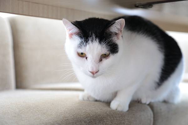 20160322114044_IMG_3639.JPG 20160322114044_IMG_3639.JPG