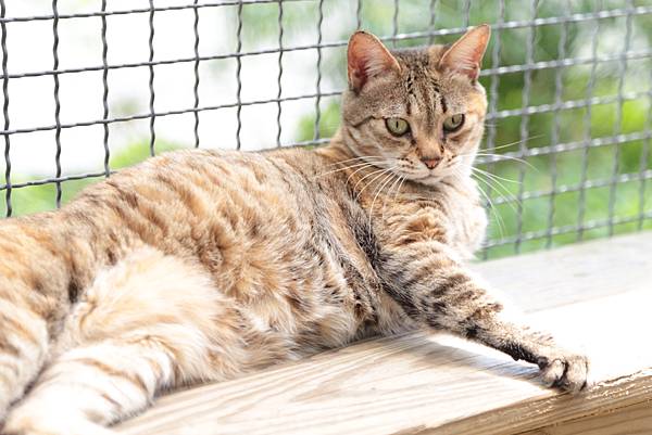 20160322114123_IMG_3641.JPG 20160322114123_IMG_3641.JPG